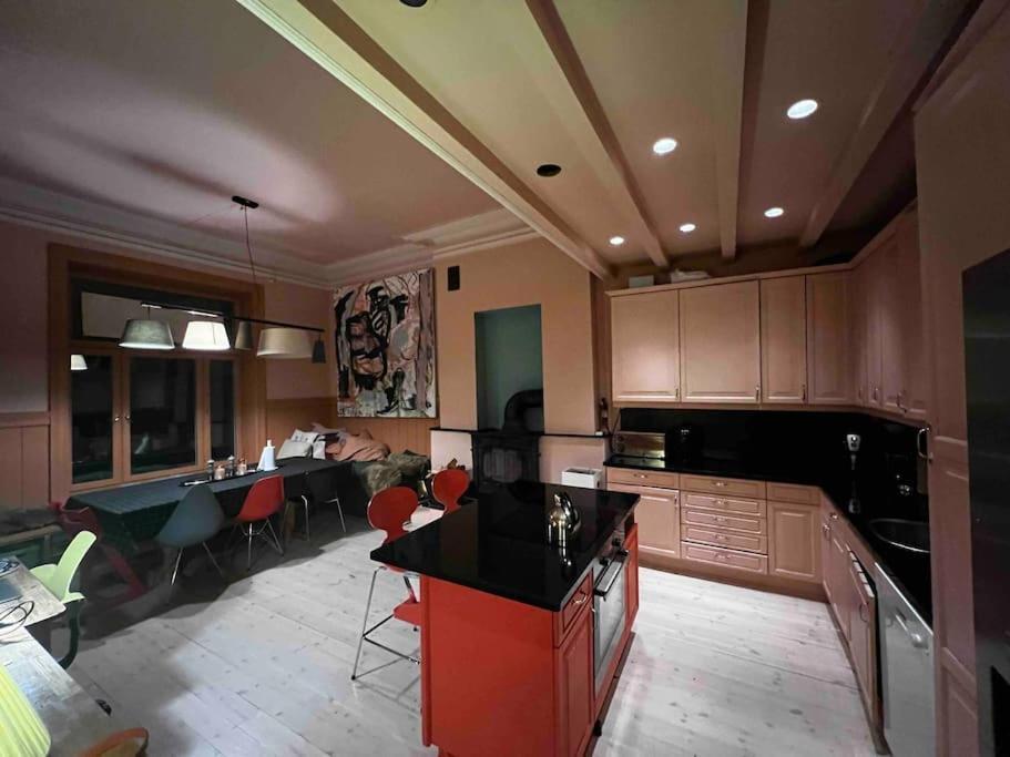 Elegant & Quiet Apartment In Historic House - Prime Location In Oslo West Dış mekan fotoğraf